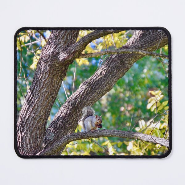 Item preview, Snacking designed and sold by Tessia Photography.