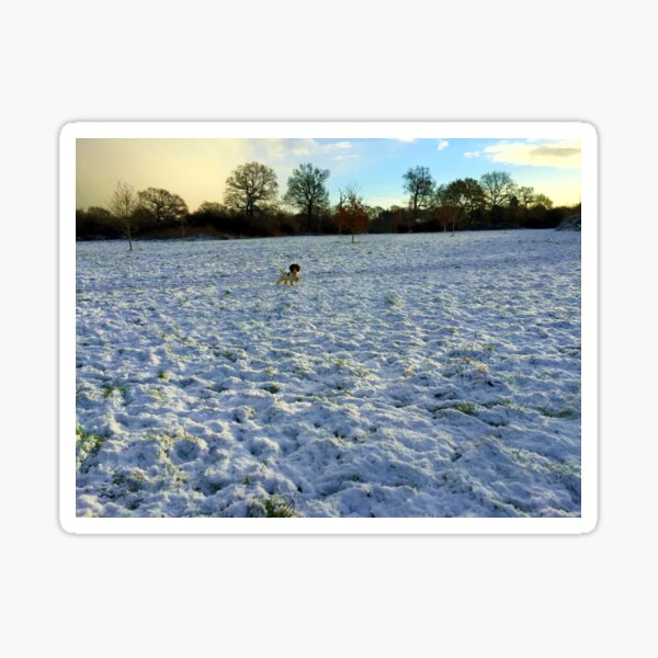 Alone in the field Sticker