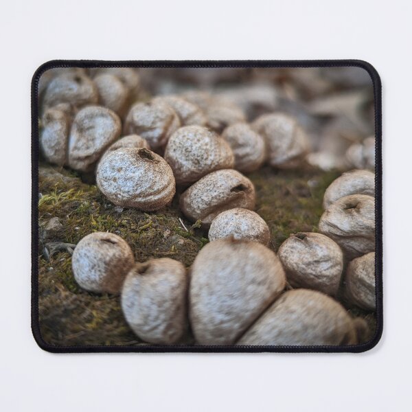 Item preview, Stump Puffballs designed and sold by Designed by Southern Minnesota Guy.