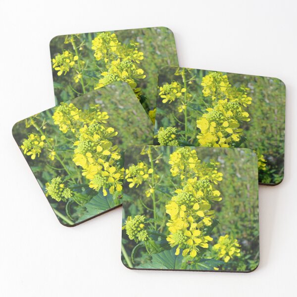 Item preview, FLORA #36 - Close-up of Yellow Mustard Plants designed and sold by DEL-Productions.