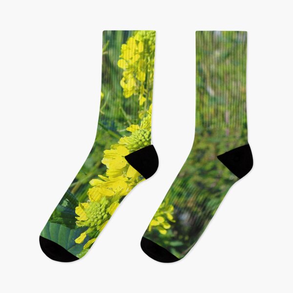 Item preview, FLORA #36 - Close-up of Yellow Mustard Plants designed and sold by DEL-Productions.