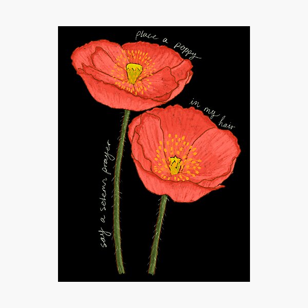 poppy playtime ⭐  Poppies, Cute little drawings, Anime character