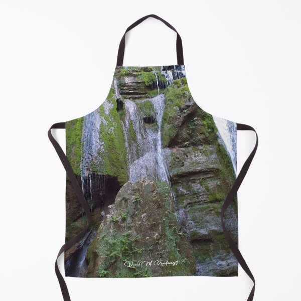 Artikelvorschau, Tank Hollow Falls Nr. 4 - Cleveland, Virginia entworfen und verkauft von David Vanderwyst.