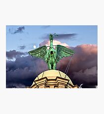 The Liver Bird Photographic Print