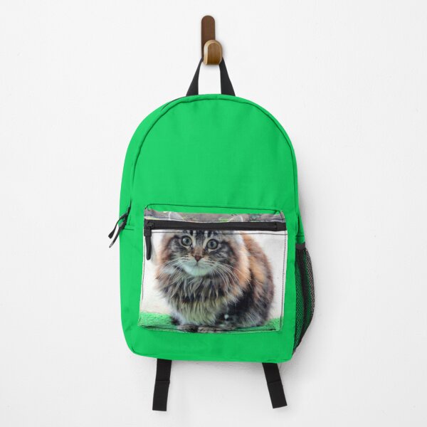 Item preview, ANIMALS #103 - Adorable Fluffy Plump Kitten in Expectation designed and sold by DEL-Productions.