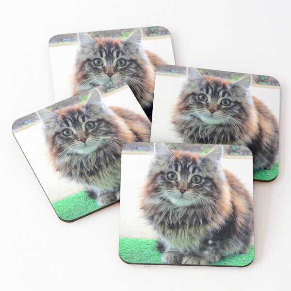 Item preview, ANIMALS #103 - Adorable Fluffy Plump Kitten in Expectation designed and sold by DEL-Productions.