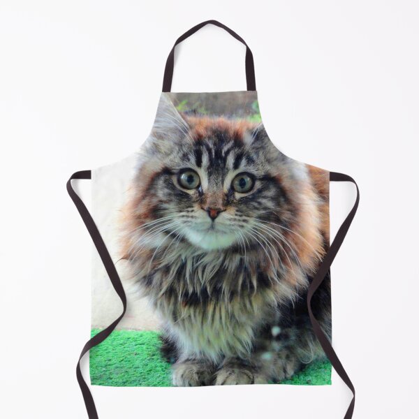 Item preview, ANIMALS #103 - Adorable Fluffy Plump Kitten in Expectation designed and sold by DEL-Productions.