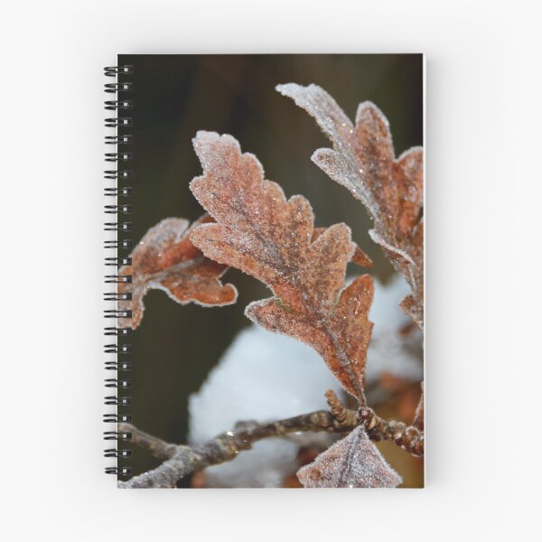 Item preview, Snow & Oak designed and sold by AnnDixon.