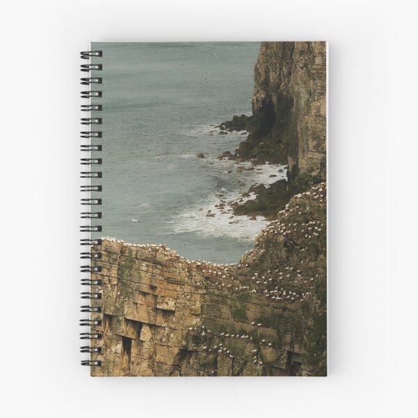 Item preview, GANNETS COAST designed and sold by andrewsaxton.