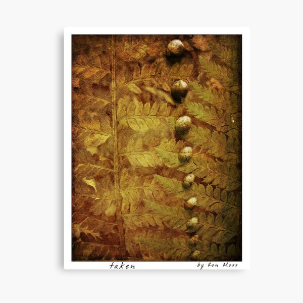 t a k e n Canvas Print