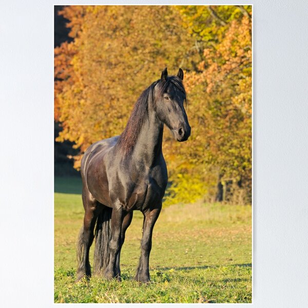Friese im Herbst Poster