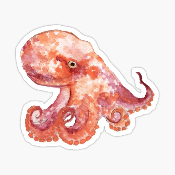 Cute Octopus Stickers Redbubble - orange octopus roblox