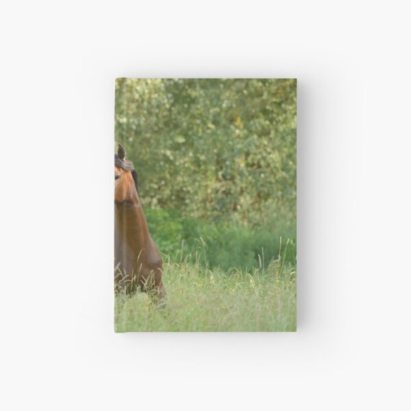 Paso Fino Hengst Notizbuch