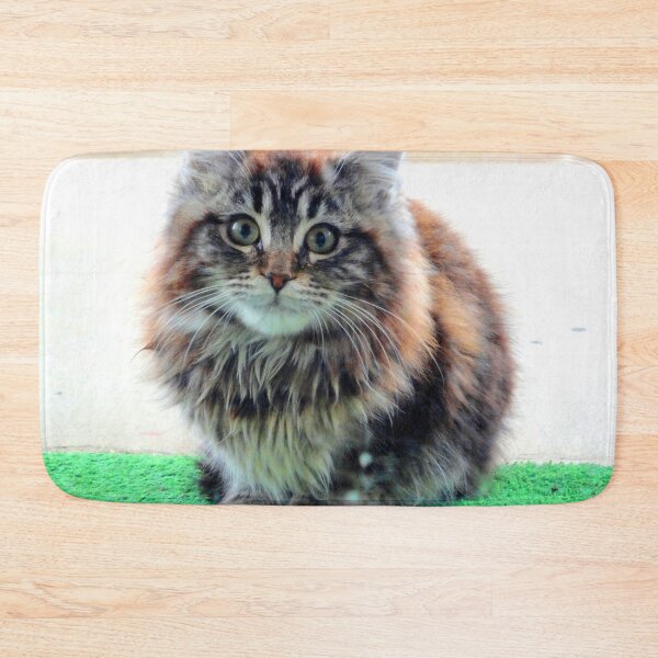 Item preview, ANIMALS #103 - Adorable Fluffy Plump Kitten in Expectation designed and sold by DEL-Productions.