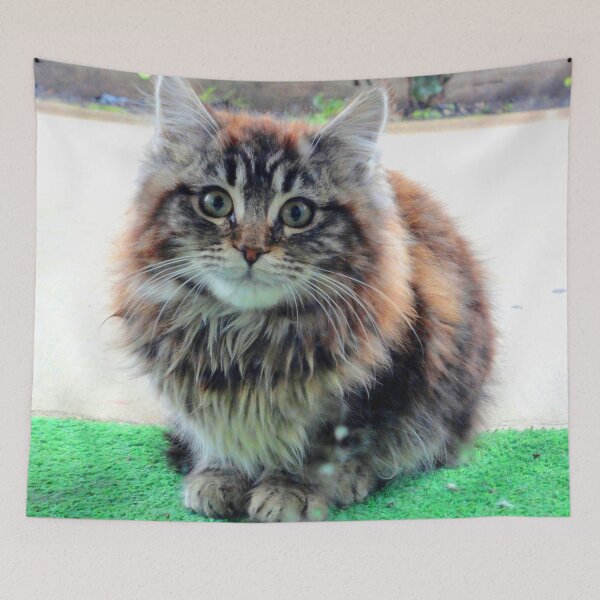 Item preview, ANIMALS #103 - Adorable Fluffy Plump Kitten in Expectation designed and sold by DEL-Productions.