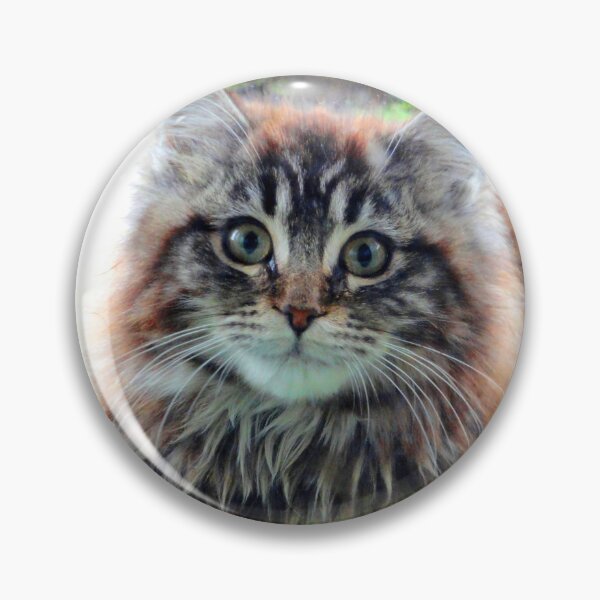 Item preview, ANIMALS #103 - Adorable Fluffy Plump Kitten in Expectation designed and sold by DEL-Productions.