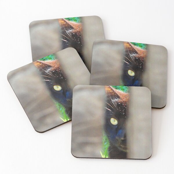 Item preview, ANIMALS #104 - Black Cat - Unflinching Concentration designed and sold by DEL-Productions.