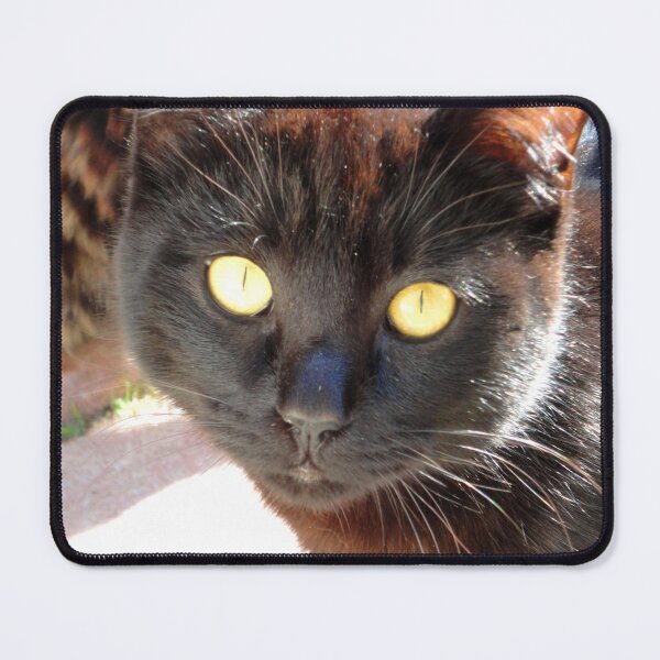 Item preview, ANIMALS #105 - Black Cat - Yellow-Green Eyes - Full Face designed and sold by DEL-Productions.