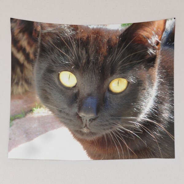 Item preview, ANIMALS #105 - Black Cat - Yellow-Green Eyes - Full Face designed and sold by DEL-Productions.