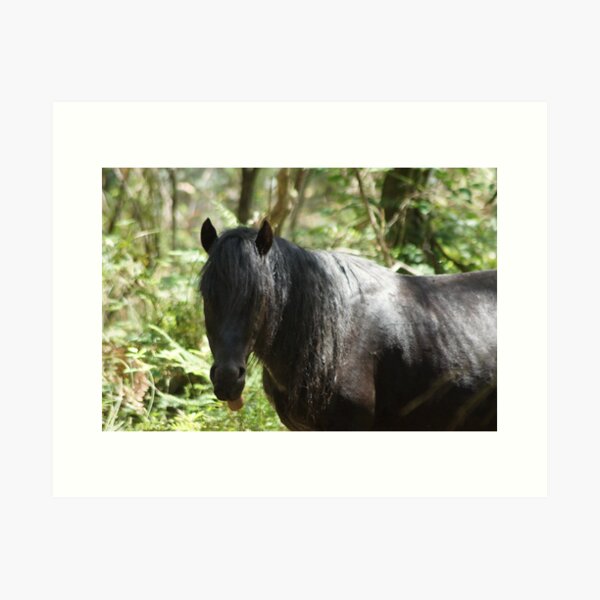 Item preview, Cheeky Brumby Stallion designed and sold by jessfleming.