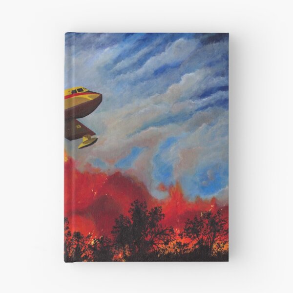 Item preview, Canadair Paint designed and sold by Sabistar.