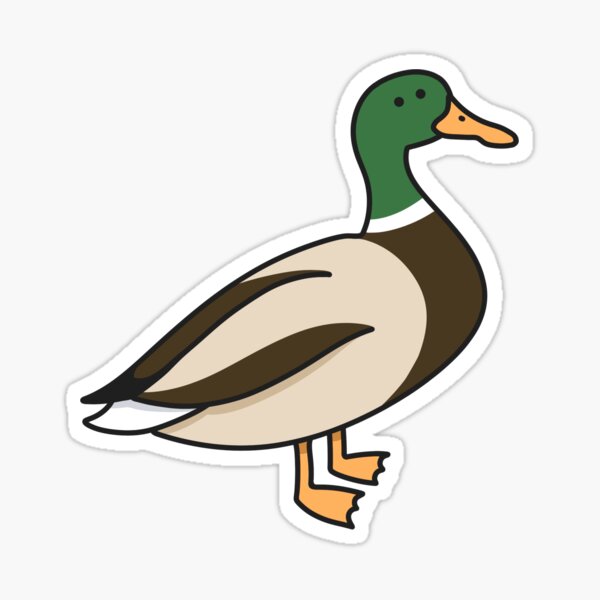 Just a Duck Sticker