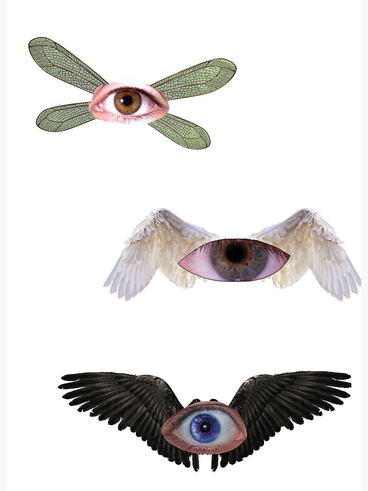 Dreamcore Eye with wings - Angel - Weirdcore dreamcore design