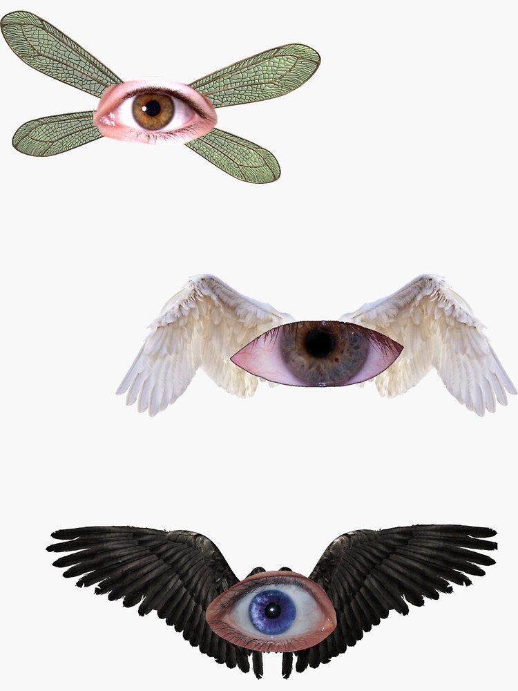 weirdcore eyes and wings | Sticker