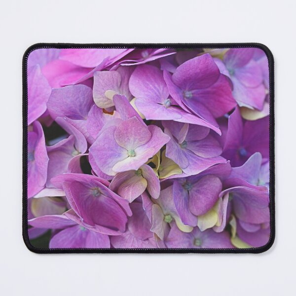 Item preview, Pink Hydrangea Summer Tones  designed and sold by Joy Watson - Natural Light Photography .
