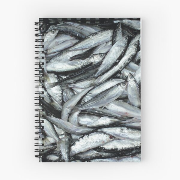 Item preview, catching  bleak fish designed and sold by mrivserg.