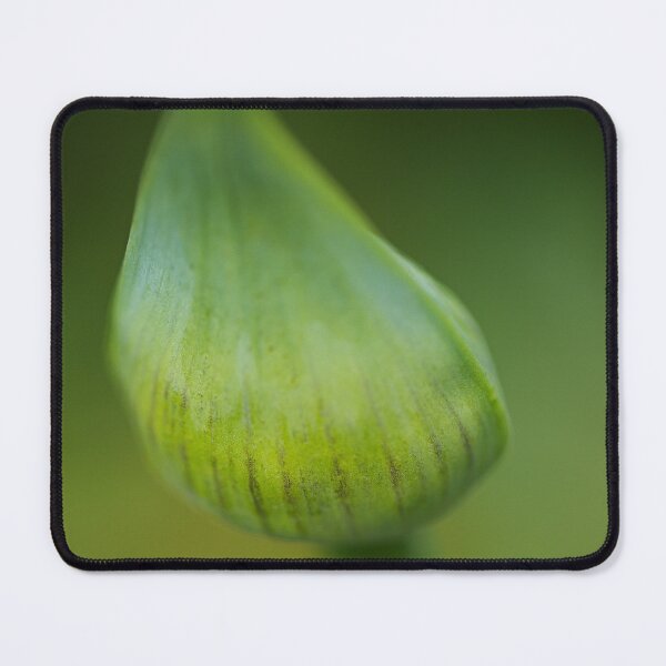 Item preview, Lily Of The Nile Crisp In Green  designed and sold by Joy Watson - Natural Light Photography .