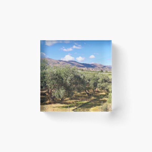 Item preview, Cretan olive trees designed and sold by DTOUR-DESIGN.