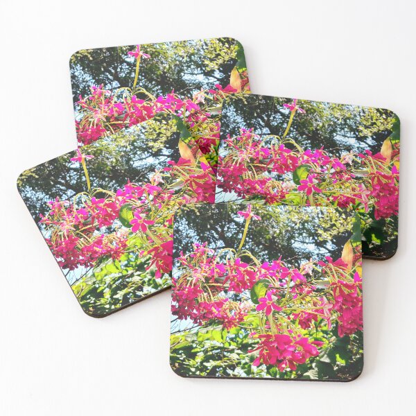 Item preview, Pink Chinese Honeysuckle in my garden designed and sold by my-tree.