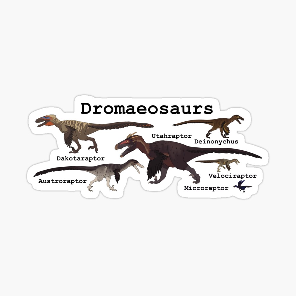 Cute Deinonychus Art Board Print for Sale by saradrawspaleo