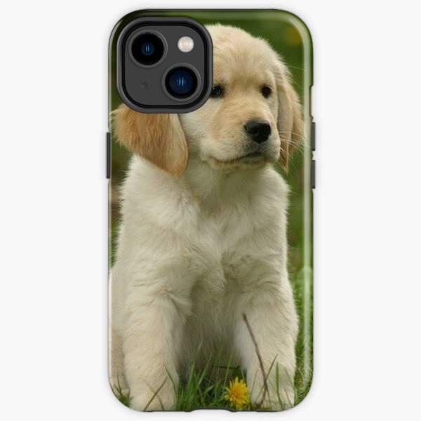Golden Retriever! Puppy! iPhone Tough Case