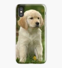 Golden Retriever! Puppy! iPhone Case