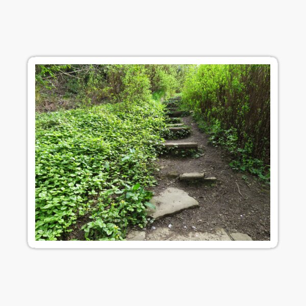 Item preview, Forgotten stairs designed and sold by Evekingartist.