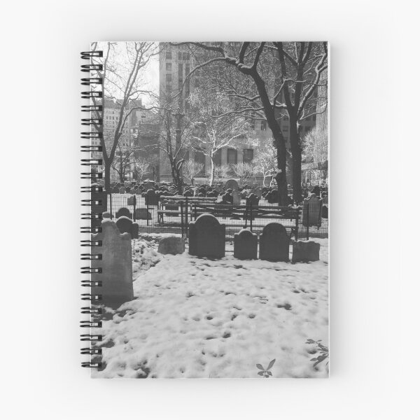 Item preview, Serene snowy in New York designed and sold by carrizizi.