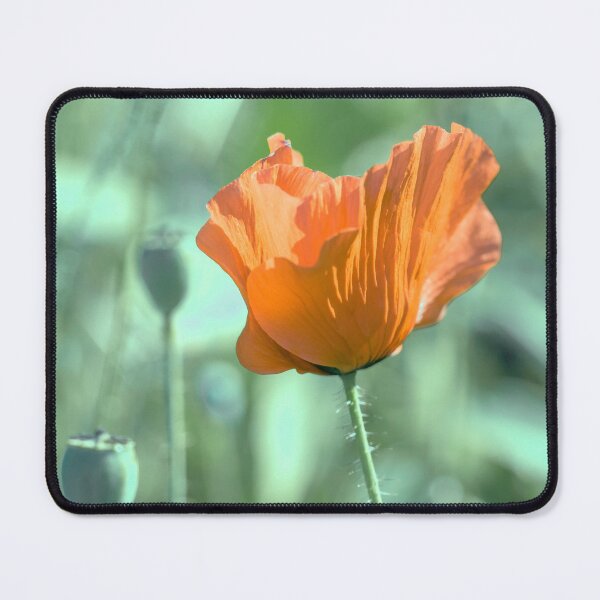 Item preview, Poppy Flower in the Summer Night designed and sold by Amalus-files.