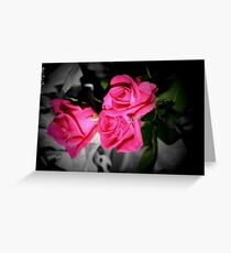 Pink Roses Greeting Card