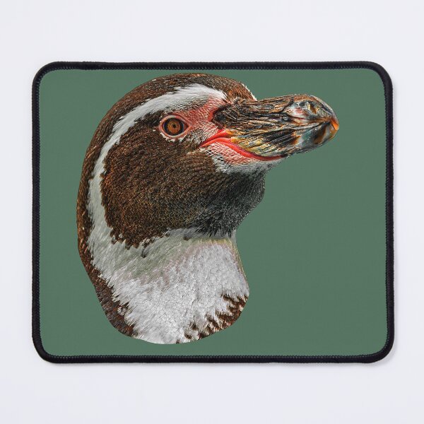 Item preview, Humboldt Penguin designed and sold by Dalyndigital Photography.
