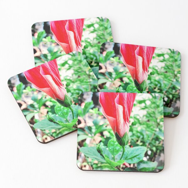 Item preview, Red hibiscus in my villa designed and sold by my-tree.