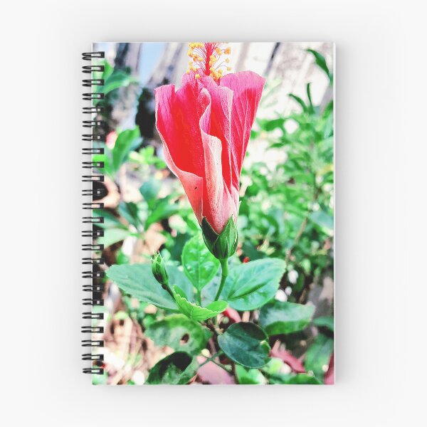 Item preview, Red hibiscus in my villa designed and sold by my-tree.