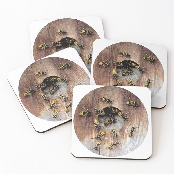 Item preview, Wasps in a birdbox designed and sold by davejw.