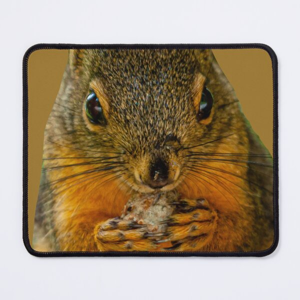Item preview,  American red squirrel designed and sold by Dalyndigital Photography.