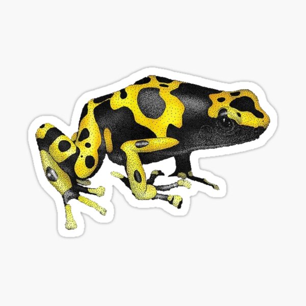 Item preview, YELLOW-BANDED POISON DART FROG Dendrobates leucomelas designed and sold by Sameart ⭐⭐⭐⭐⭐.