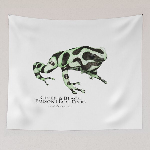 Item preview, GREEN & BLACK POISON DART FROG Dendrobates auratus comes designed and sold by Sameart ⭐⭐⭐⭐⭐.