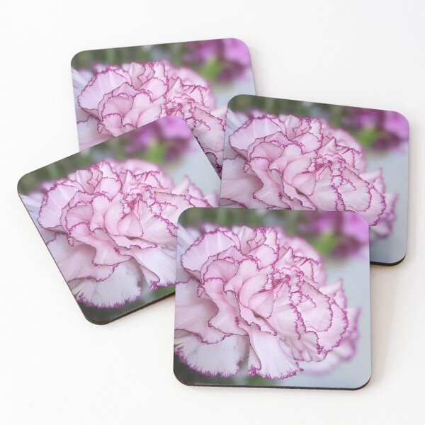 Item preview, Pink Carnation • Pink Blooming designed and sold by ArmDuno.