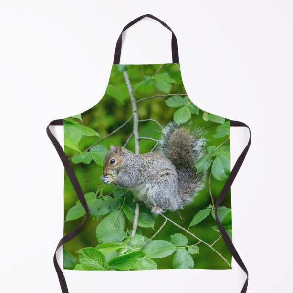 Item preview, Cute Grey Squirrel designed and sold by Dalyndigital Photography.