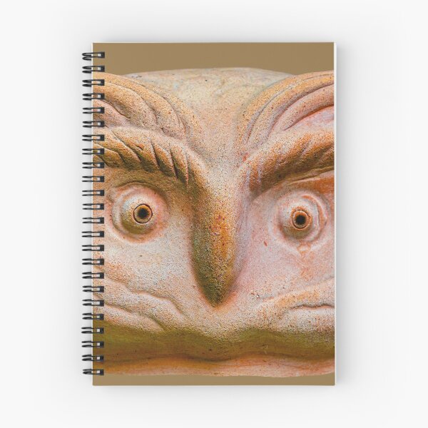 Item preview, Ceramic Owl designed and sold by Dalyndigital Photography.